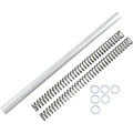 Fork Spring FRSP 314233