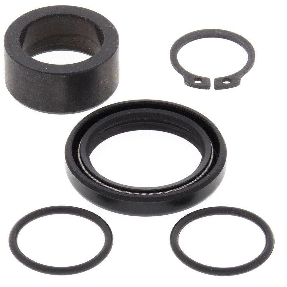 Oil Seal CMS25-4029