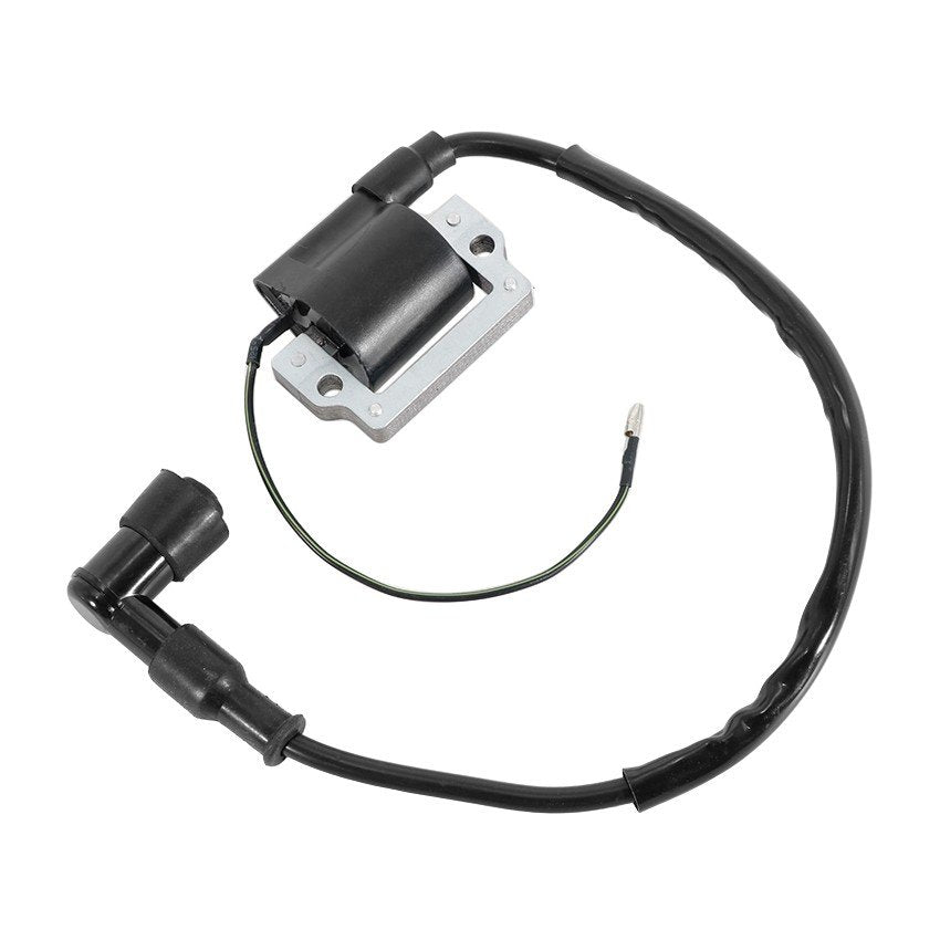 Ignition Coil, image 1 of 4