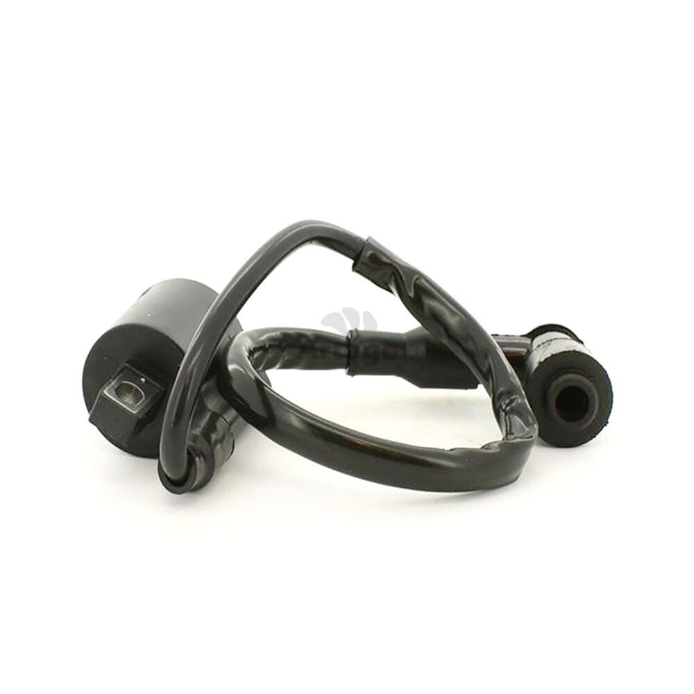 Ignition Coil, image 1 of 3
