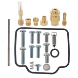 labwork Carburetor Rebuild Kit 418046, image 1 of 4