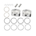 labwork Piston Kit, image 1 of 4
