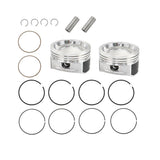 labwork Piston Kit, image 1 of 4