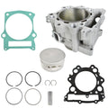 labwork Piston Kit, image 1 of 4