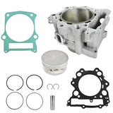labwork Piston Kit, image 1 of 4