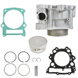 labwork Piston Kit, image 2 of 4
