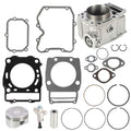 labwork Piston Kit, image 1 of 4