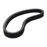 labwork Drive Belt, image 2 of 4
