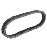 labwork Drive Belt 0800055000, image 2 of 4