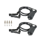 labwork Ignition Coil, image 1 of 4