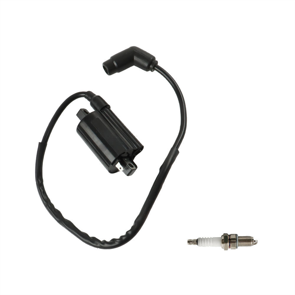labwork Ignition Coil, image 1 of 4