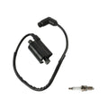 labwork Ignition Coil, image 1 of 4
