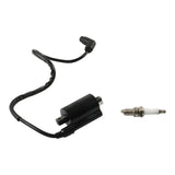 labwork Ignition Coil, image 4 of 4