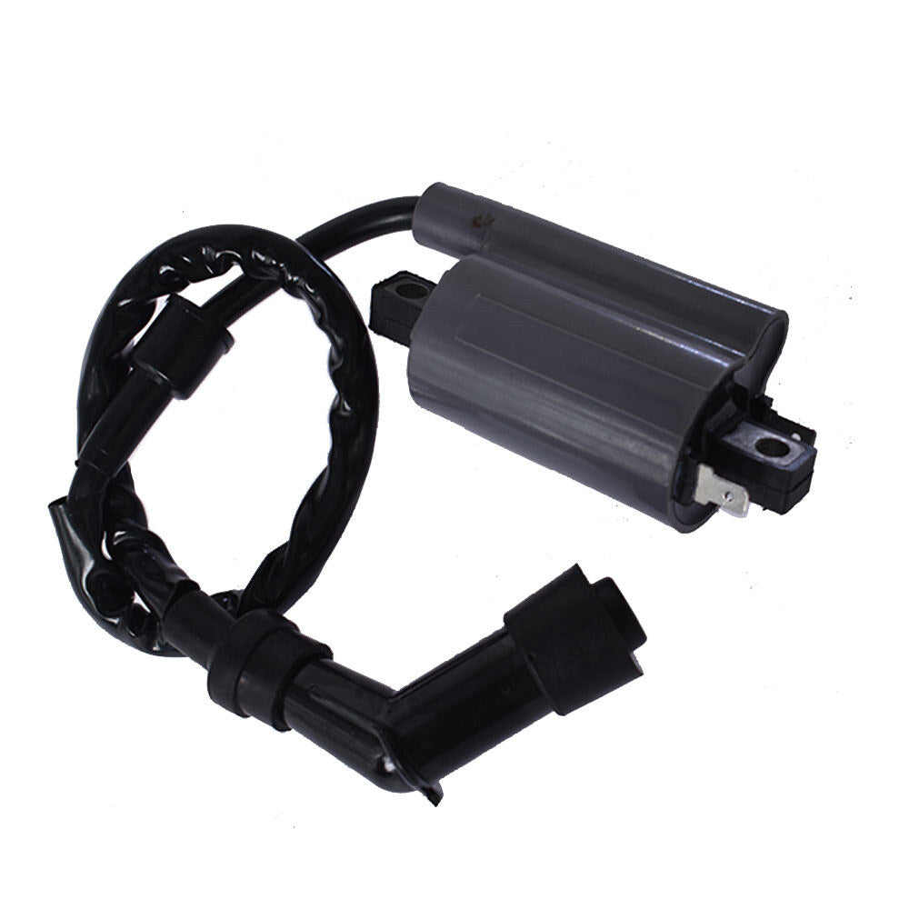 labwork Ignition Coil LAW95964, image 1 of 4