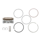 labwork Piston Kit 50-312K, image 2 of 4