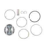 labwork Piston Kit 50-312K, image 3 of 4