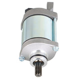 labwork Starter Motor, image 4 of 4