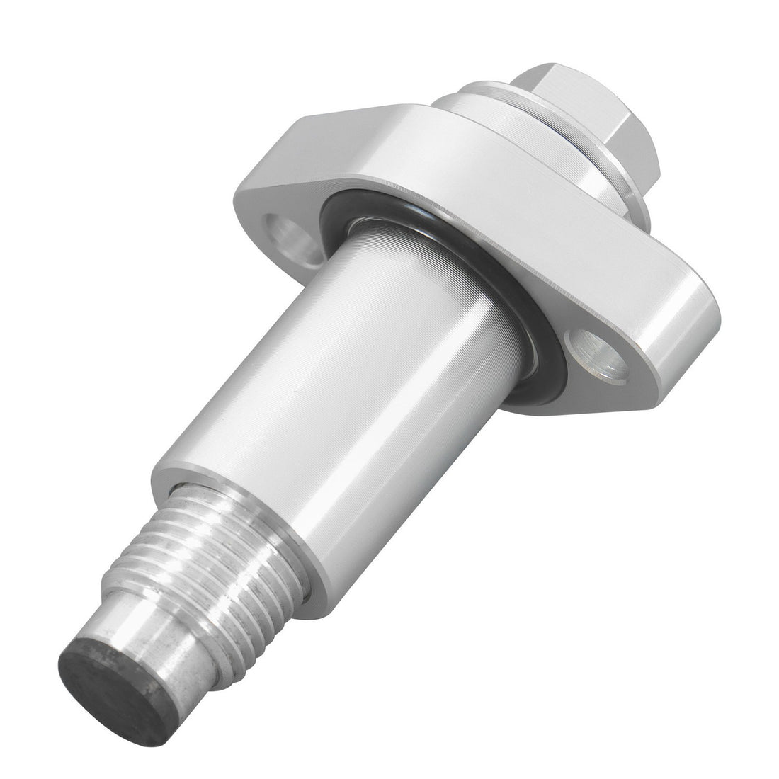 labwork Cam Chain Tensioner, image 1 of 4
