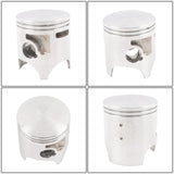 labwork Piston Kit, image 2 of 4
