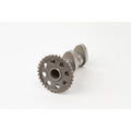 Motion Pro Camshaft