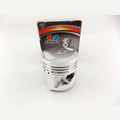 Piston Kit, image 1 of 3