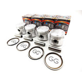 Piston Kit, image 1 of 3