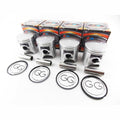 Piston Kit, image 1 of 4