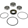 Pivot Works Wheel Bearing PWRWS-Y11-000