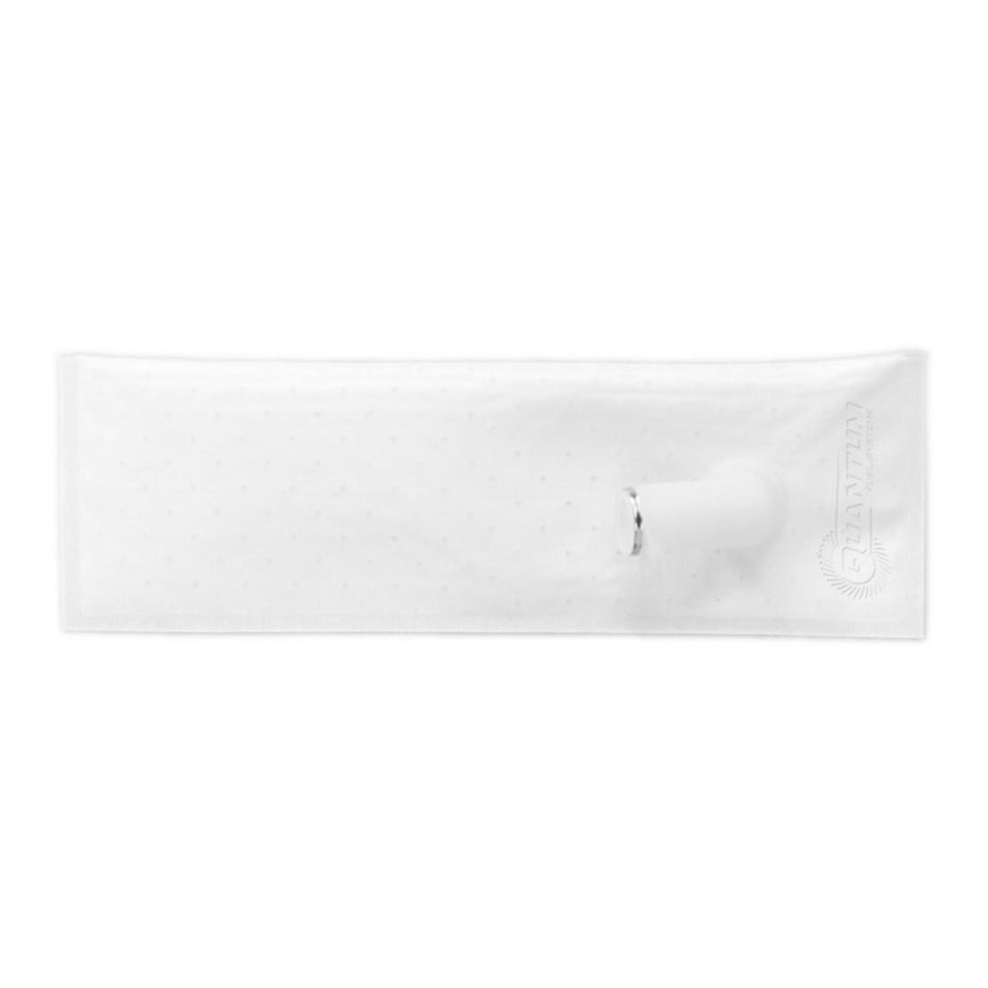 Quantum Fuel Systems Fuel Filter CMSQFHFPS846