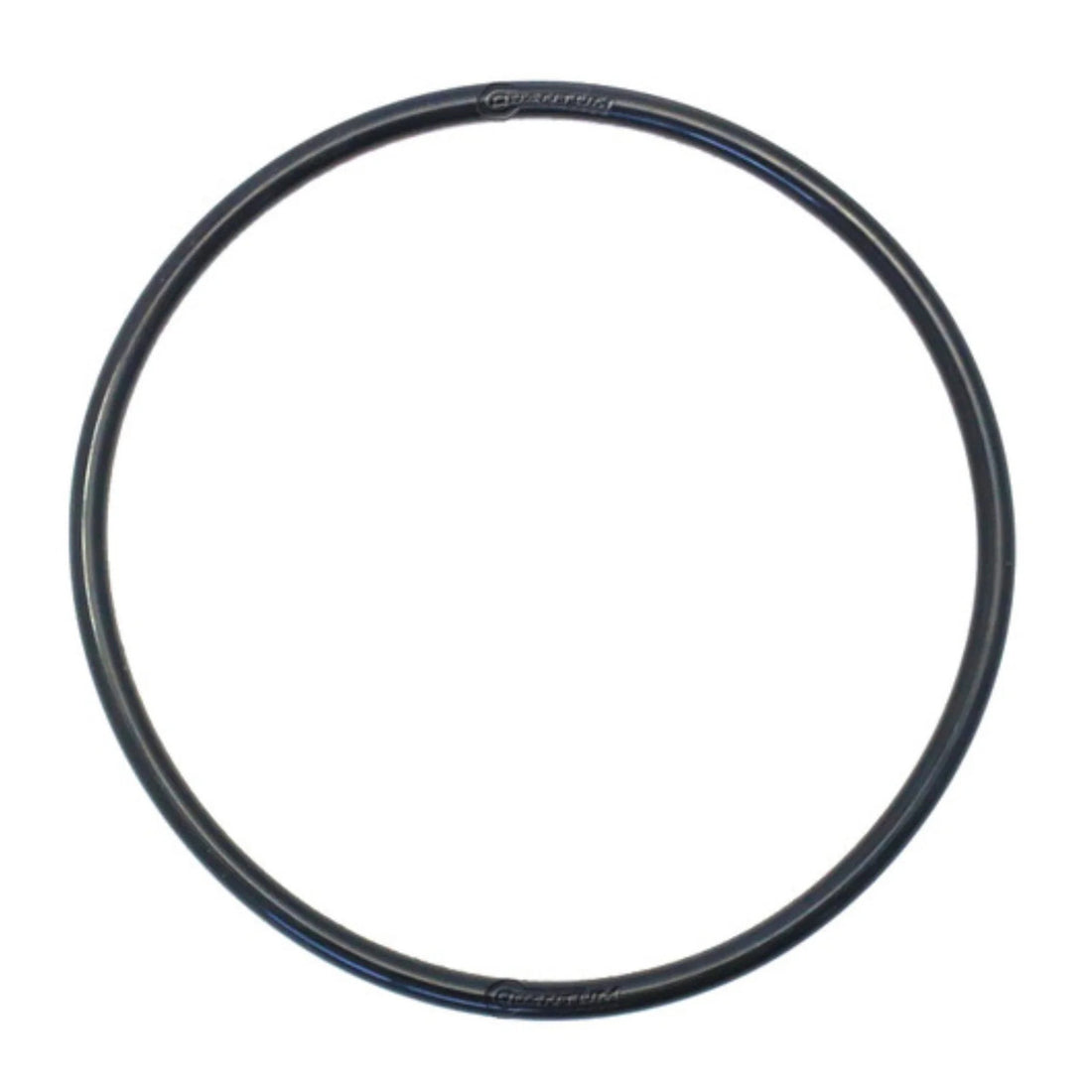 Quantum Fuel Systems Gasket