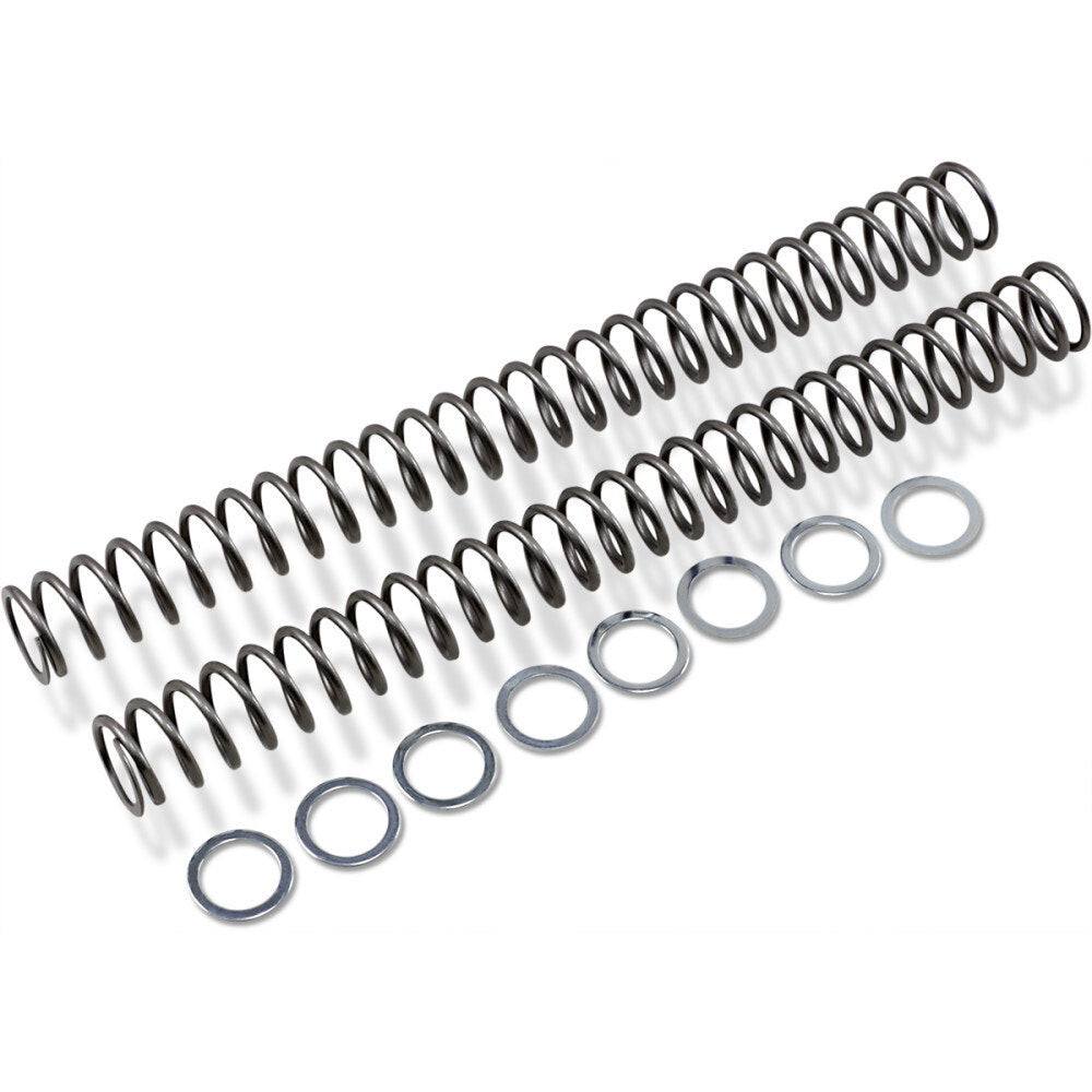 Race Tech Fork Spring FRSP 454748