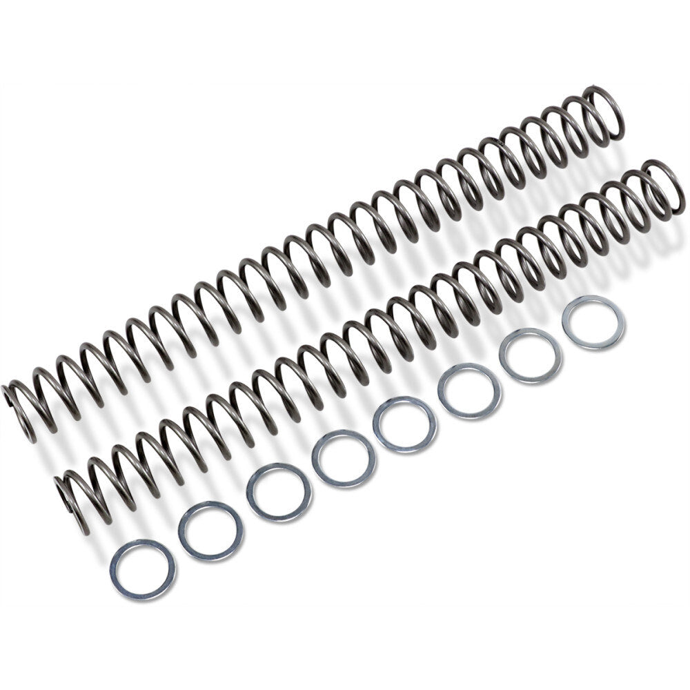 Race Tech Fork Spring FRSP 454752
