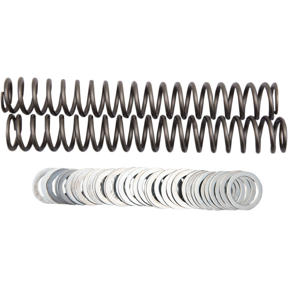 Race Tech Fork Spring FRSP S3827095