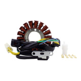 RMStator Stator, image 2 of 2