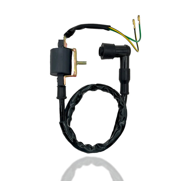 Dirt Bike Parts Pit Bike Ignition Coil 2 Wire SSR Baja Motorsports Nst 50-110CC