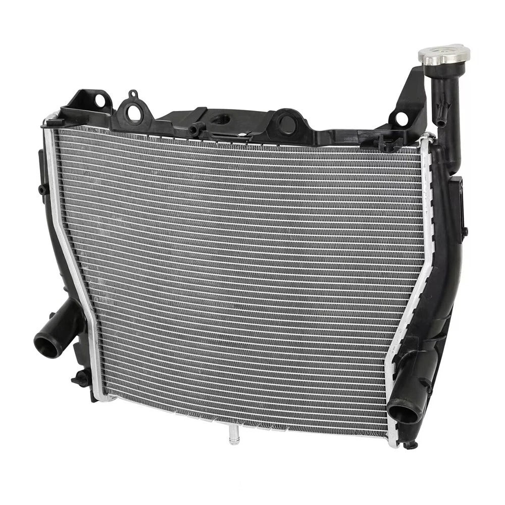 Fit For BMW S1000RR 2009-2018 HP4 Race 2018 Motorcycle Engine Cooling Radiators