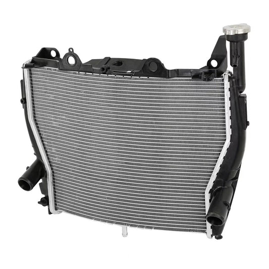 Fit For BMW S1000RR 2009-2018 HP4 Race 2018 Motorcycle Engine Cooling Radiators