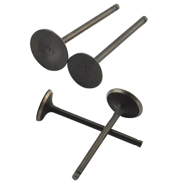 Two Pair Engine Intake and Exhaust Valves For Honda CH250 CH 250 250cc Kab