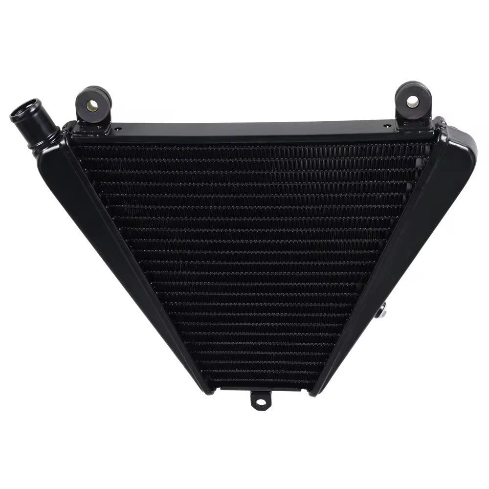 For Ducati Panigle V2 2020-2023 Streetfighter V2 2022-24 Engine Cooling Radiator