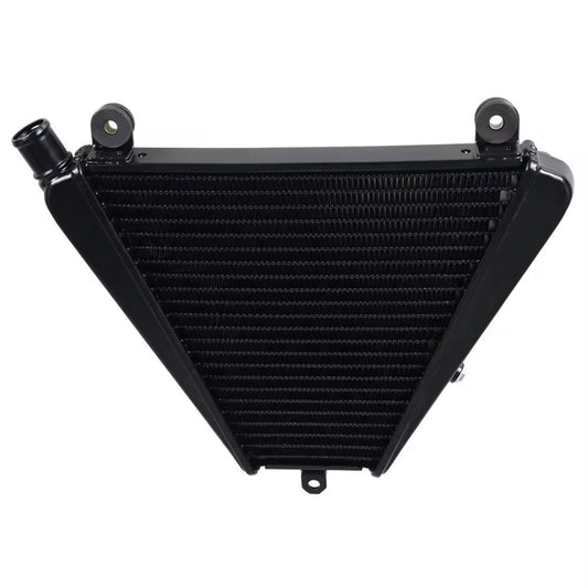 For Ducati Panigle V2 2020-2023 Streetfighter V2 2022-24 Engine Cooling Radiator