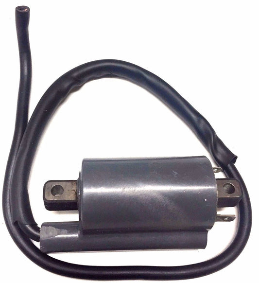 Bobina DE Encendido 12V Salida Simple Para Suzuki Triples Y Otras Motocicletas
