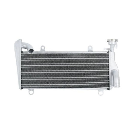For Ducati 889 959 1199 1299 Panigale Motorcycle Engine Cooling Radiator Cooler