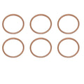 6PCS Exhaust Pipe Gasket Supersedes part: 18291-216-000 18291-MN5-650
