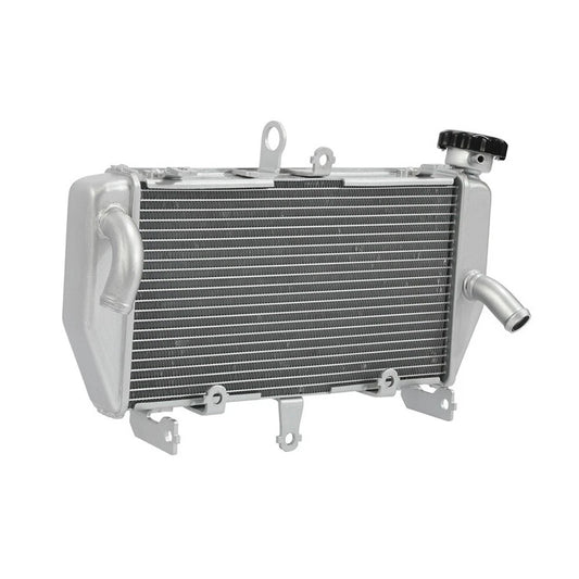 Fit For Yamaha MT-03 MT-25 2016-2022 2023 21 Engine Compartment Cooling Radiator