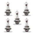 5 12V 18/18w Pointy Scooter Light Bulbs 50cc 150cc 250cc Znen Jonway Tank Baron