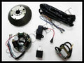 For Vespa 12V Electronic Kit 6V Conversion kit Vba Vbb Vbc Vlb Vna Super Sprint
