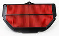 HI Flo - Air Filter HFA3910