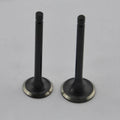 Intake and Exhaust Valves for Yamaha XV125 97 XV125 Virago 98 XV125S 99-00