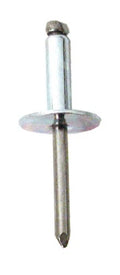 Rivet S/S 610LF (100) TRack s Ss610Lf Package Of 100