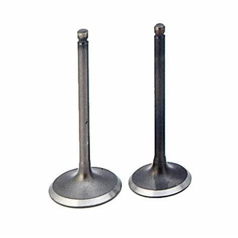 Engine Valves For Suzuki GS125 82-83 DR125 82-85 SP125 82-83 ALT125 DR100 SP100